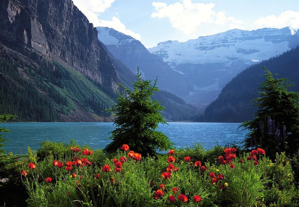 Alberta: Cowboy trail and Waterton Lakes National Park
